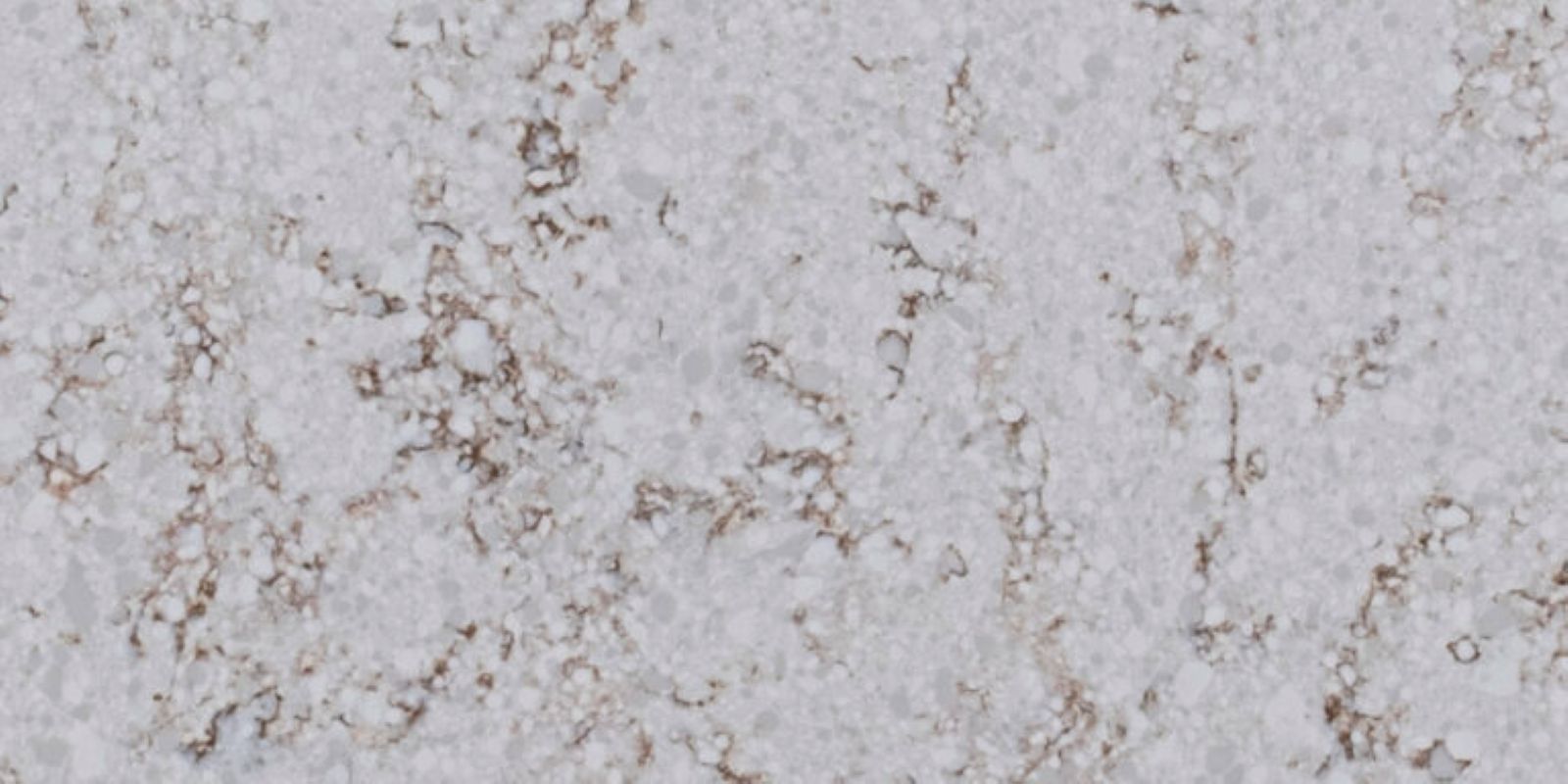 Ankara çimstone kaffa modeli